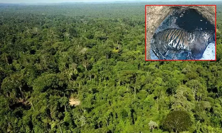 நீலகிரி: கிணற்றில் இறந்து கிடந்த புலி  வனத்துறையினர் விசாரணை