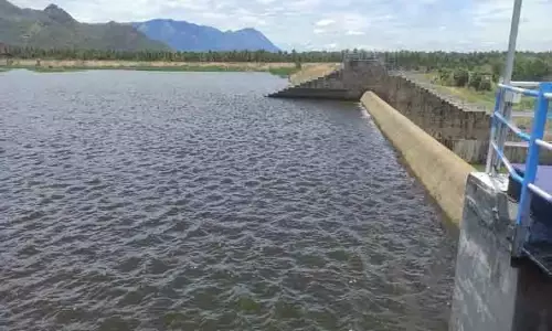 விருதுநகர் சாஸ்தாகோவில் அணையில் இருந்து தண்ணீர் திறக்க நீர்வளத்துறை உத்தரவு