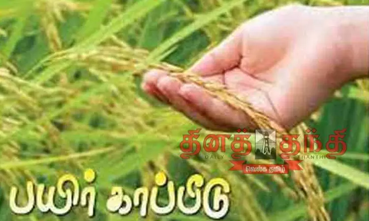 பயிர் காப்பீடு செய்வதற்கான கால அவகாசம் நீட்டிப்பு - தமிழக அரசு