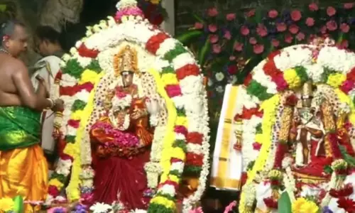 நெல்லையப்பர் கோவிலில் ஐப்பசி திருக்கல்யாண திருவிழா:  திரளான பக்தர்கள் தரிசனம்