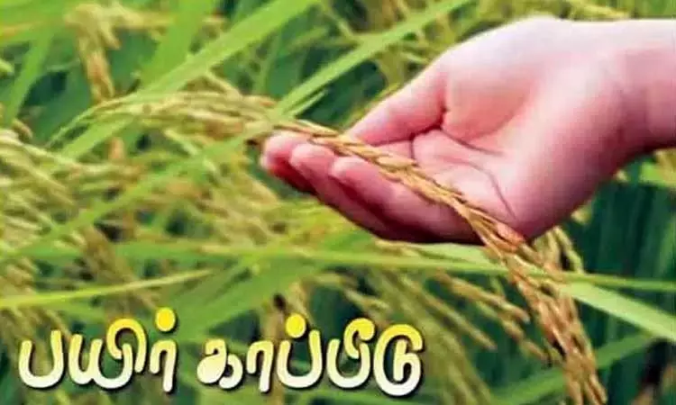 விவசாயிகளுக்கு அசத்தல் அறிவிப்பு... சம்பா பயிர்... ... இன்றைய முக்கிய செய்திகள்.. சில வரிகளில்.. 16-11-2025 விவசாயிகளுக்கு அசத்தல் அறிவிப்பு... சம்பா பயிர்... ... இன்றைய முக்கிய செய்திகள்.. சில வரிகளில்.. 16-11-2025