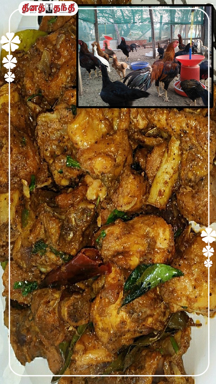 சிக்கன் சாப்பிடுங்க..ஆனா நாட்டுக்கோழி தேர்வு செய்யுங்க..!