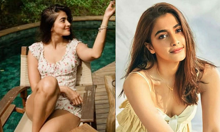 ’2025 எனக்கு ஒரு நல்ல ஆண்டாக அமைந்தது’ - பூஜா ஹெக்டே