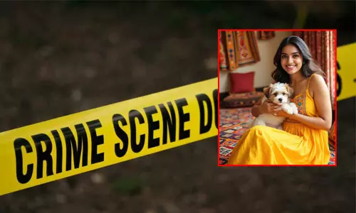 நாயை கொஞ்சும் சாக்கில் பெண் வழக்கறிஞருக்கு பாலியல் தொல்லை; செல்போன் பறிப்பு