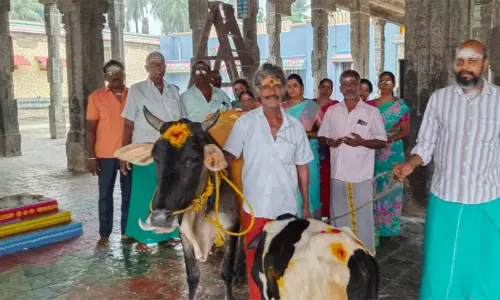 கார்த்திகை மாத பிறப்பு: சீர்காழி சட்டைநாதர் கோவிலில் சிறப்பு வழிபாடு