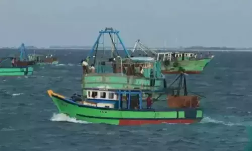 நாகை மீனவர்கள் 31 பேர் நிபந்தனைகளுடன் விடுதலை நாகை மீனவர்கள் 31 பேர் நிபந்தனைகளுடன் விடுதலை