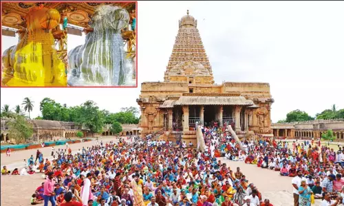 கார்த்திகை மாத பிரதோஷம்: தஞ்சை பெரிய கோவில் நந்திக்கு சிறப்பு அபிஷேகம்