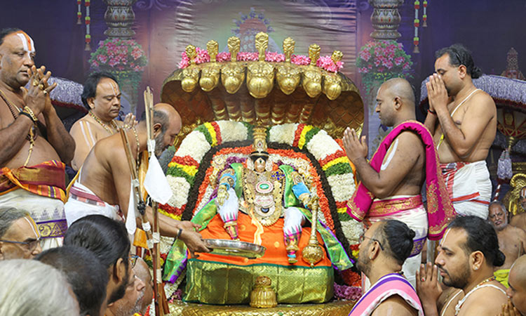 கார்த்திகை பிரம்மோற்சவம்... பெரிய சேஷ வாகனத்தில் பரமபதநாதராக அருள்பாலித்த பத்மாவதி தாயார்