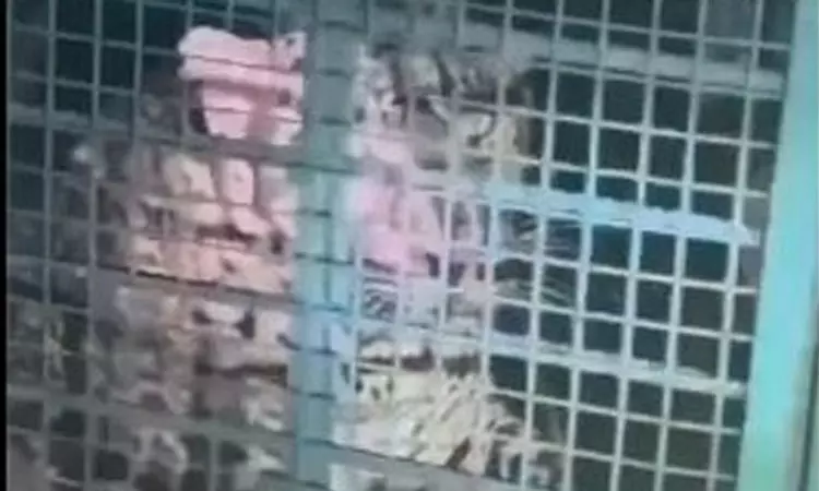 பொள்ளாச்சி அருகே வனத்துறையினருக்கு போக்கு காட்டி வந்த சிறுத்தை சிக்கியது