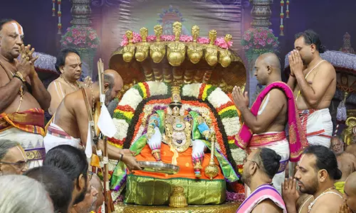 கார்த்திகை பிரம்மோற்சவம்... பெரிய சேஷ வாகனத்தில் பரமபதநாதராக அருள்பாலித்த பத்மாவதி தாயார்