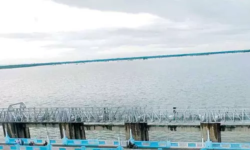 விழுப்புரம்: விடூர் அணை நீர்த்தேக்கத்தில் இருந்து பாசனத்துக்காக தண்ணீர் திறப்பு