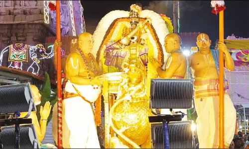 கார்த்திகை பிரம்மோற்சவ விழா 2-ம் நாள்: பெரியசேஷ, ஹம்ச வாகனங்களில் பத்மாவதி தாயார் வீதி உலா