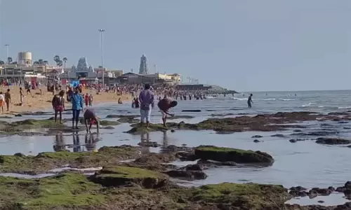 திருச்செந்தூரில் திடீரென 80 அடி தூரத்திற்கு உள்வாங்கிய கடல்