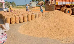 நெல் ஈரப்பதம் தொடர்பான கோரிக்கை நிராகரிப்பு: மத்திய அரசு மீது மு.க.ஸ்டாலின் குற்றச்சாட்டு