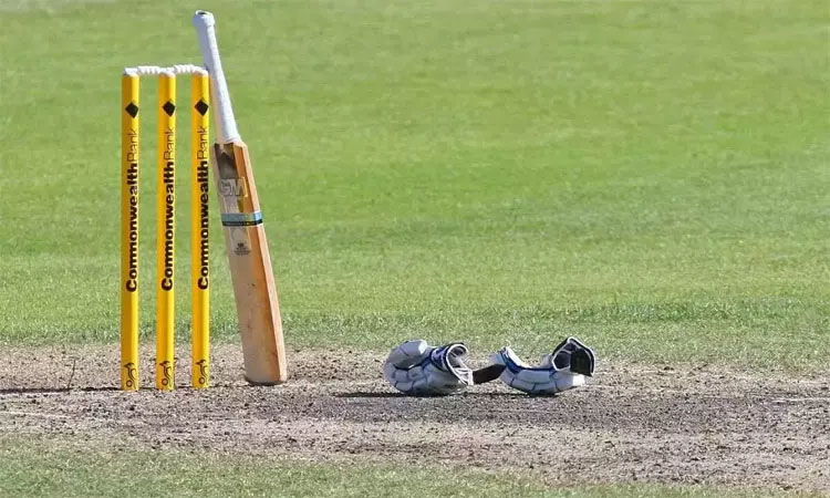 3-வது  ஒருநாள் போட்டி:   தென் ஆப்பிரிக்கா அணி ஆறுதல் வெற்றி