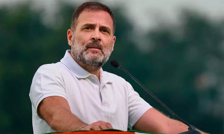 ராணுவத்துக்கு எதிரான கருத்துகள்: ராகுல்காந்தி மீதான விசாரணைக்கு தடை நீட்டிப்பு