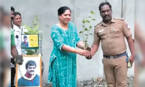 விவேக் பிறந்தநாளில் மரக்கன்றுகள் நட்ட மனைவி