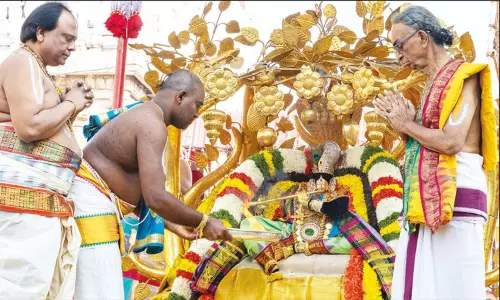 கார்த்திகை பிரம்மோற்சவ விழா 4-வது நாள்: கற்பக விருட்சம், அனுமன் வாகனத்தில் பத்மாவதி தாயார் வீதிஉலா