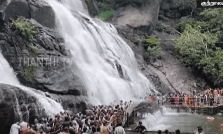 சீரான நீர்வரத்து:  குற்றால அருவிகளில் குளிக்க அனுமதி