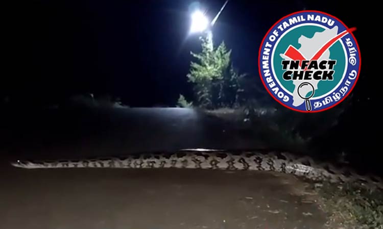கன்னியாகுமரி: சாலையில் மலைப்பாம்பு செல்வதாக பரவும் வீடியோ - தமிழக அரசு விளக்கம்