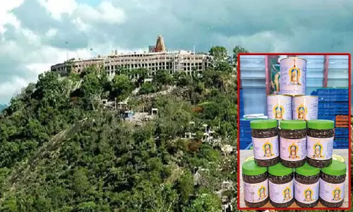 பழனி முருகன் கோவிலில் ஒரே நாளில் 80 டன் பஞ்சாமிர்தம் விற்று சாதனை