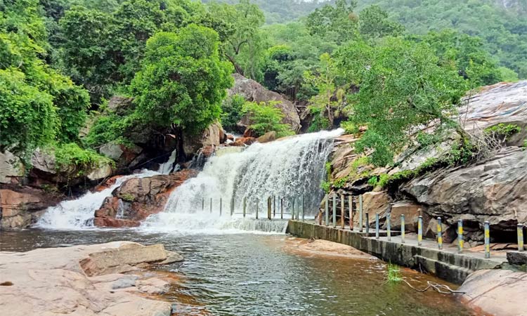 திருப்பூர்: பஞ்சலிங்க அருவியில் சுற்றுலா பயணிகள் குளிக்க தடை