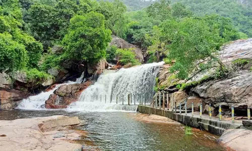 திருப்பூர்: பஞ்சலிங்க அருவியில் சுற்றுலா பயணிகள் குளிக்க தடை