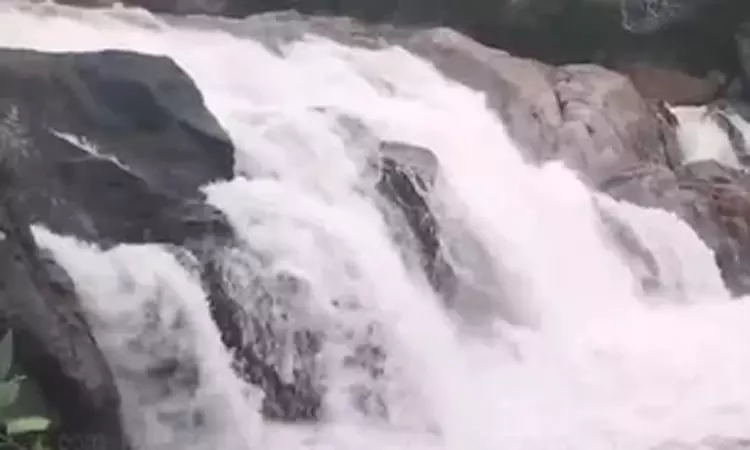 மணிமுத்தாறு அருவியில் 5-வது நாளாக குளிக்க தடை