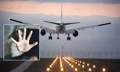 பெண் விமானியை பலாத்காரம் செய்ய முயற்சி - விமானி மீது வழக்குப்பதிவு