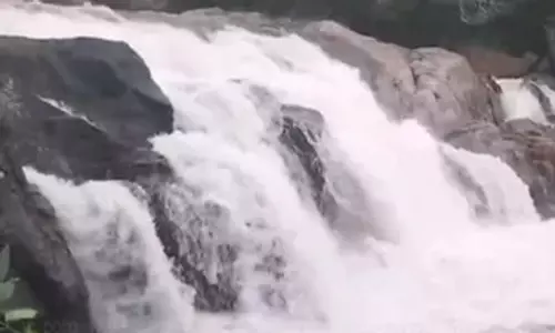 மணிமுத்தாறு அருவியில் 5-வது நாளாக குளிக்க தடை