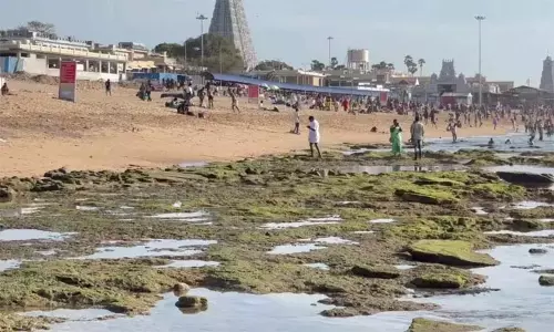 திருச்செந்தூரில் திடீரென பல அடி தூரத்திற்கு உள்வாங்கிய கடல்