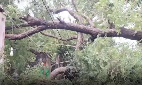 கடலூர்: கனமழையால் மின்கம்பி அறுந்து விழுந்து விபத்து - 3 பேர் உயிரிழந்த சோகம்