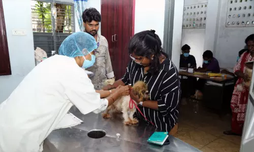 இதுவரை 33,418 செல்லப் பிராணிகளுக்கு உரிமங்கள் வழங்கப்பட்டுள்ளது - சென்னை மாநகராட்சி தகவல்