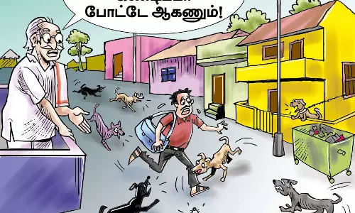 5.25 லட்சம் நாய் கடிகளா, தாங்குமா தமிழ்நாடு?