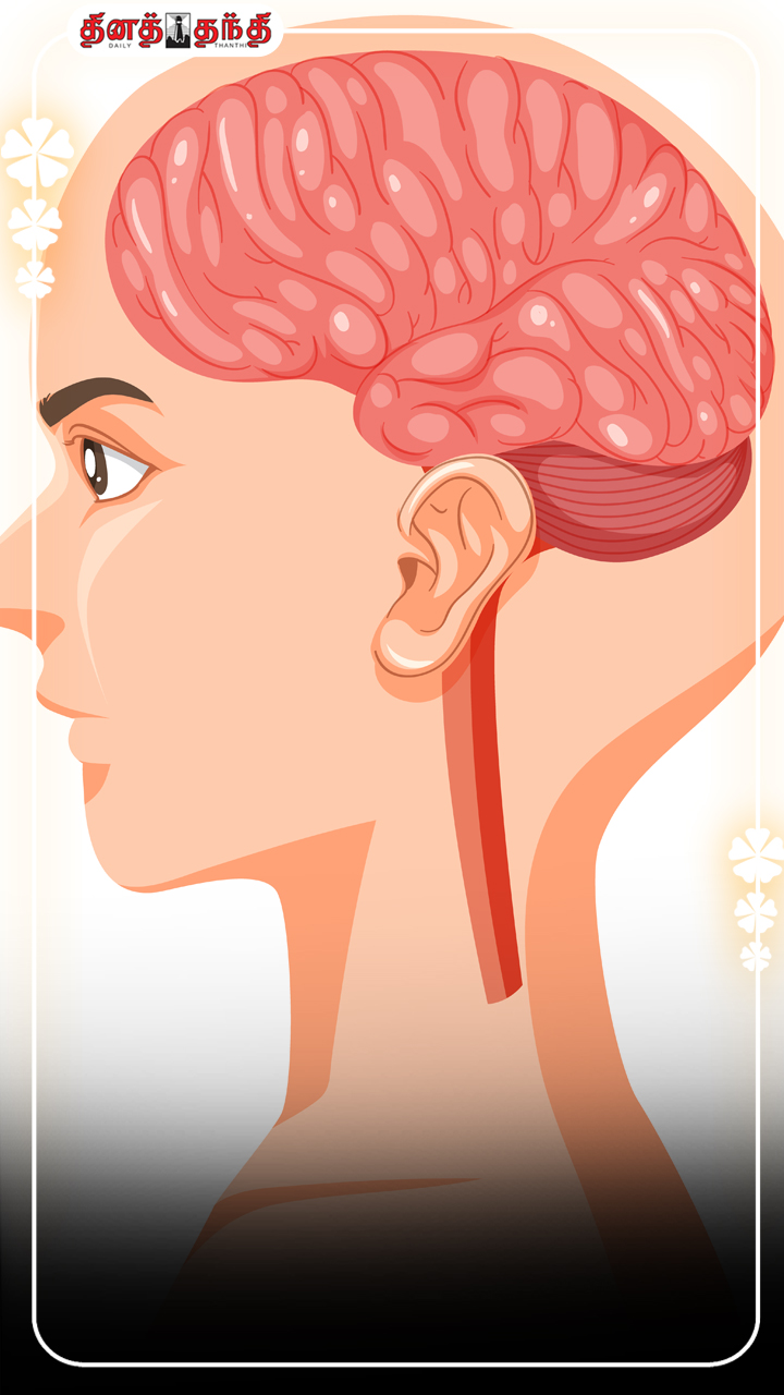 மூளை எப்படி இயங்குகிறது தெரியுமா?
