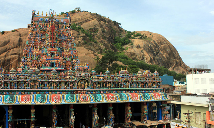 திருப்பரங்குன்றம் மலை உச்சி வக்பு வாரியத்துக்கு சொந்தம் என்பதா? - நீதிபதி அதிருப்தி