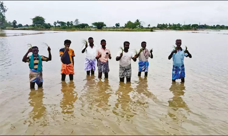 கொட்டித்தீர்த்த கனமழை: திருவாரூரில் 20,000 ஏக்கர் சம்பா, தாளடி பயிர்கள் சேதம் கொட்டித்தீர்த்த கனமழை: திருவாரூரில் 20,000 ஏக்கர் சம்பா, தாளடி பயிர்கள் சேதம்