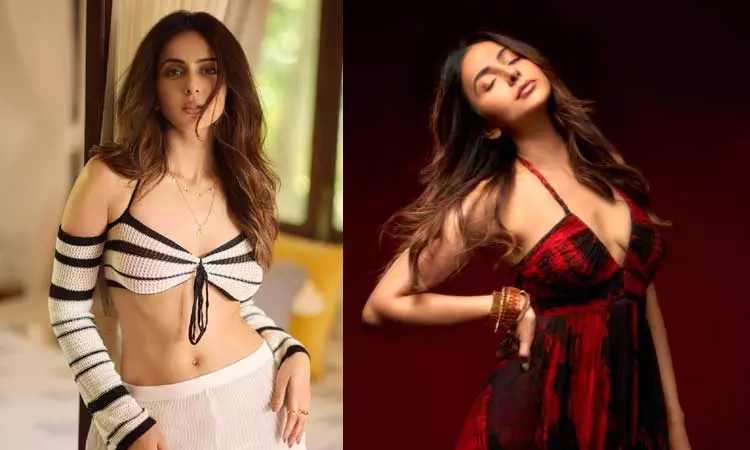 என்னை பொறுத்தவரை கவர்ச்சி காட்டுவது அவரவர் விருப்பம்- ரகுல் பிரீத் சிங் என்னை பொறுத்தவரை கவர்ச்சி காட்டுவது அவரவர் விருப்பம்- ரகுல் பிரீத் சிங்