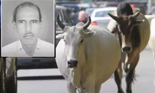 சென்னையில் மாடு முட்டி முதியவர் உயிரிழப்பு சென்னையில் மாடு முட்டி முதியவர் உயிரிழப்பு