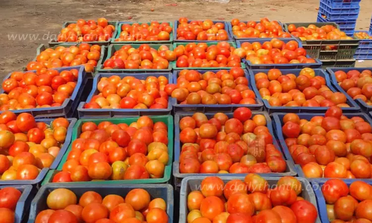 தக்காளி விலை கிடுகிடு உயர்வு.! தக்காளி விலை கிடுகிடு உயர்வு.!