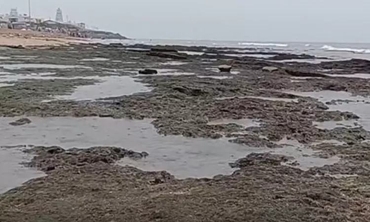 திருச்செந்தூரில் கடல் உள்வாங்கியது