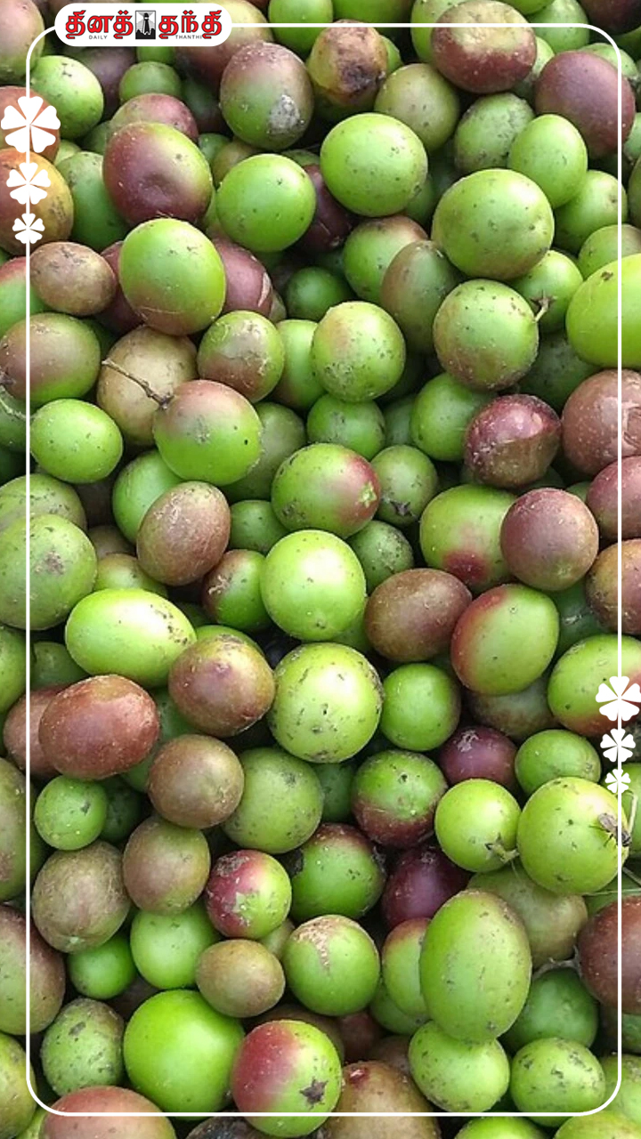 தோற்றம் சிறிது..ஆனால் பலன் பல மடங்கு.!!