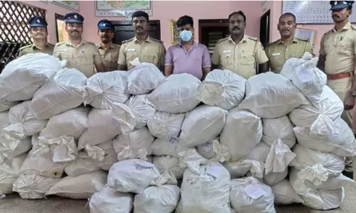 நெல்லையில் புகையிலை பொருட்கள் கடத்திய வாலிபர் கைது