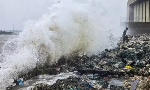 இலங்கையில் சிக்கித் தவிக்கும் இந்தியர்களுக்கு அவசர உதவி எண் அறிவிப்பு இலங்கையில் சிக்கித் தவிக்கும் இந்தியர்களுக்கு அவசர உதவி எண் அறிவிப்பு