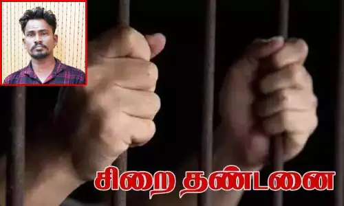 11 வயது சிறுமிக்கு பாலியல் தொல்லை: வாலிபருக்கு 10 ஆண்டுகள் சிறை தண்டனை