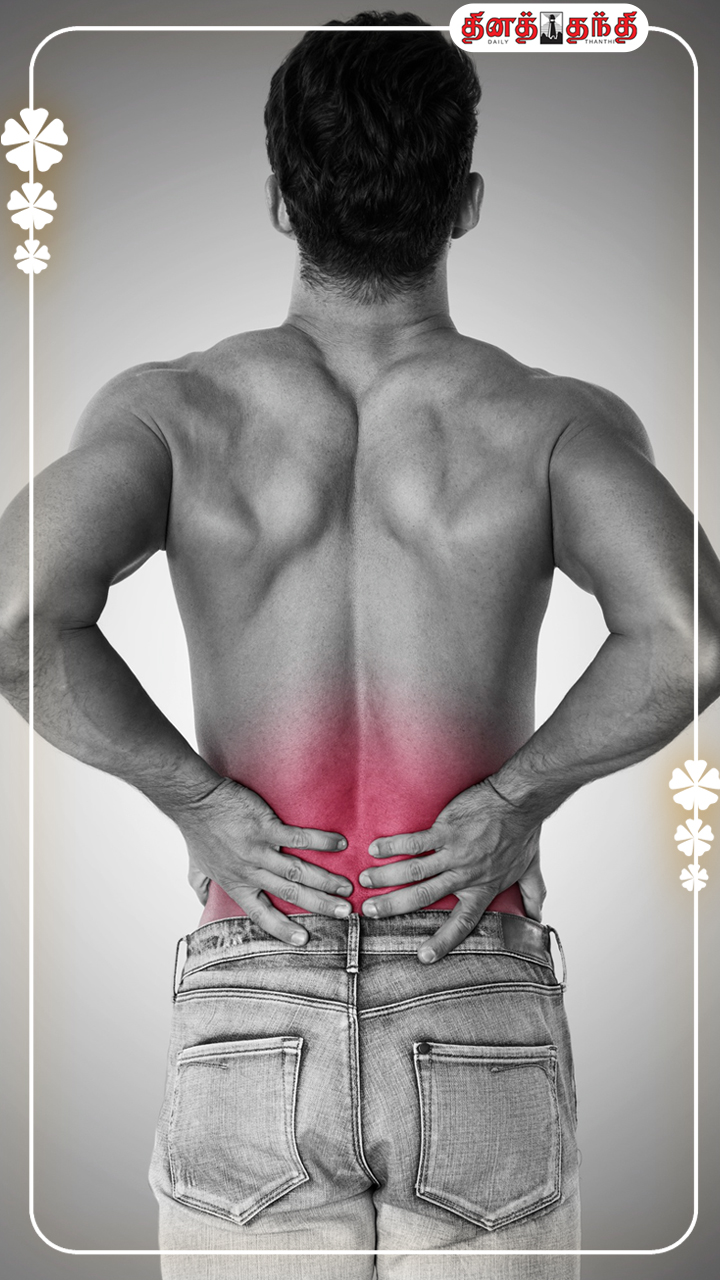 முதுகுவலியை விரட்டும் 6 வகையான உணவுகள் பற்றி தெரியுமா?