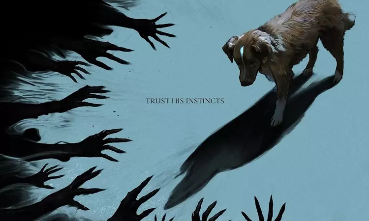 Good Boy on OTT: Unique English horror film arrives on Prime Video with a twist Good Boy on OTT: Unique English horror film arrives on Prime Video with a twist