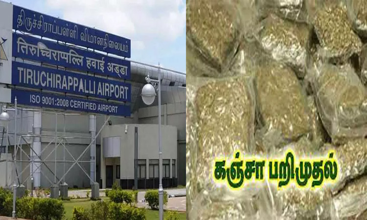 திருச்சியில் ரூ.3 கோடி மதிப்பிலான உயர்ரக கஞ்சா பறிமுதல்