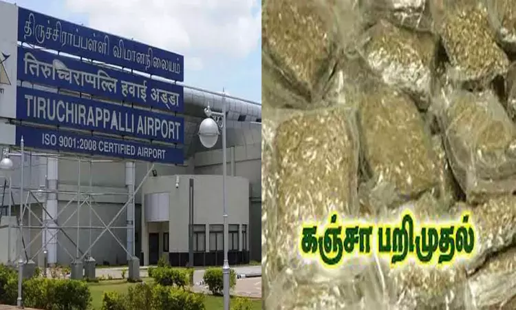 திருச்சியில் ரூ.3 கோடி மதிப்பிலான உயர்ரக கஞ்சா பறிமுதல்