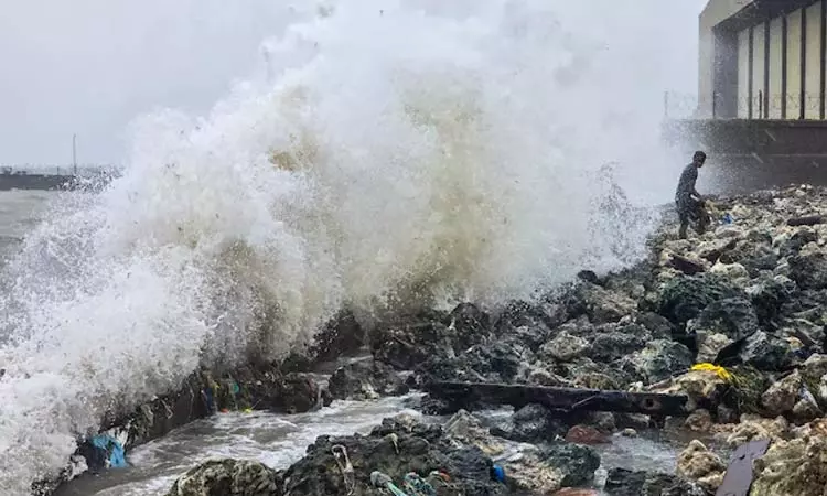 டிட்வா புயலால் 3 பேர் பலி; தமிழக அரசு தகவல்